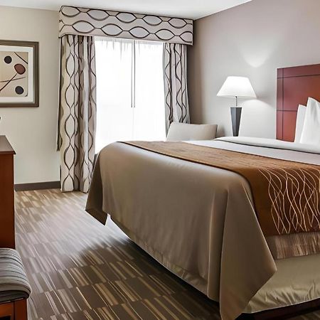 אן ארבור Comfort Inn & Suites University South מראה חיצוני תמונה