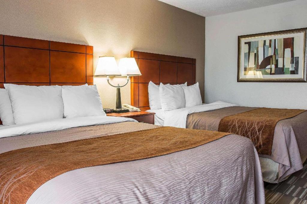 אן ארבור Comfort Inn & Suites University South מראה חיצוני תמונה