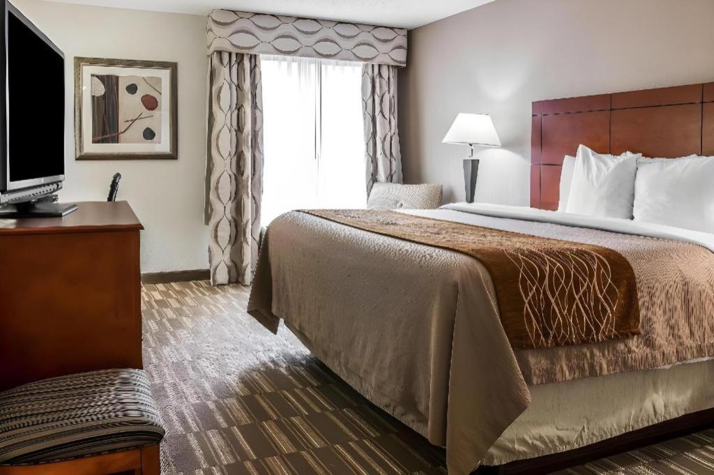 אן ארבור Comfort Inn & Suites University South מראה חיצוני תמונה