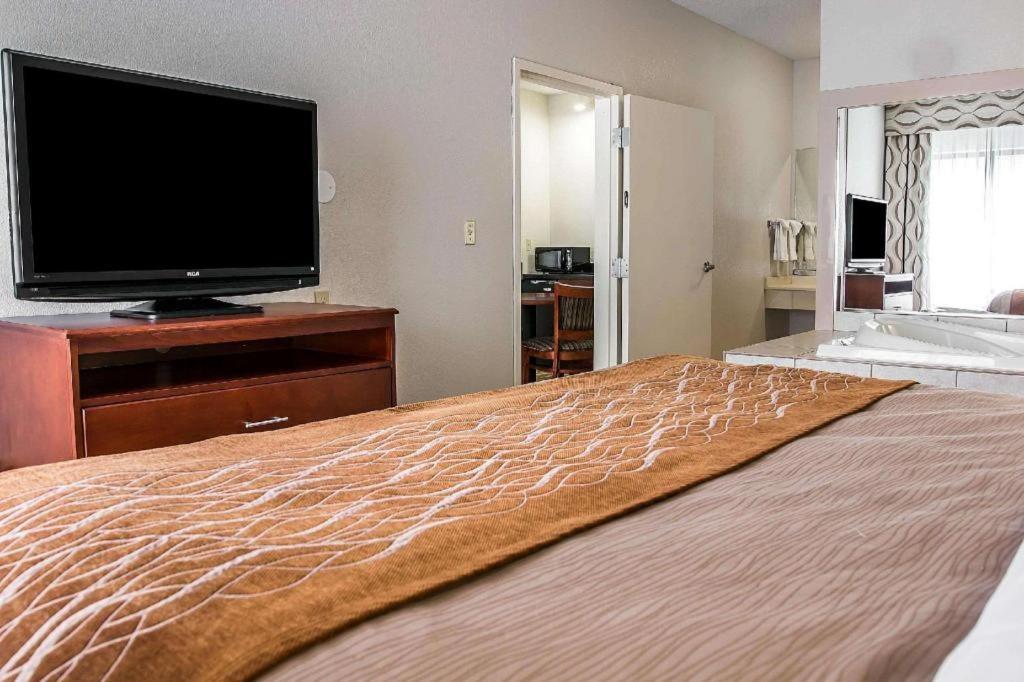 אן ארבור Comfort Inn & Suites University South מראה חיצוני תמונה