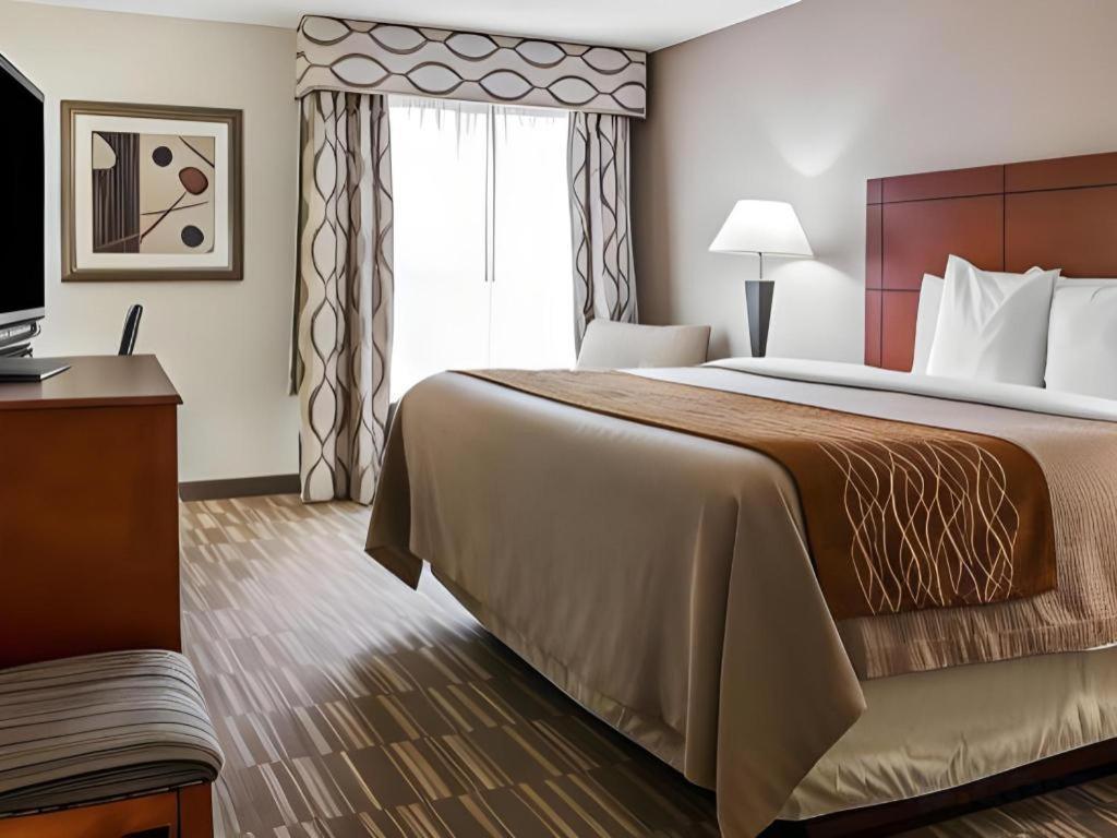 אן ארבור Comfort Inn & Suites University South מראה חיצוני תמונה