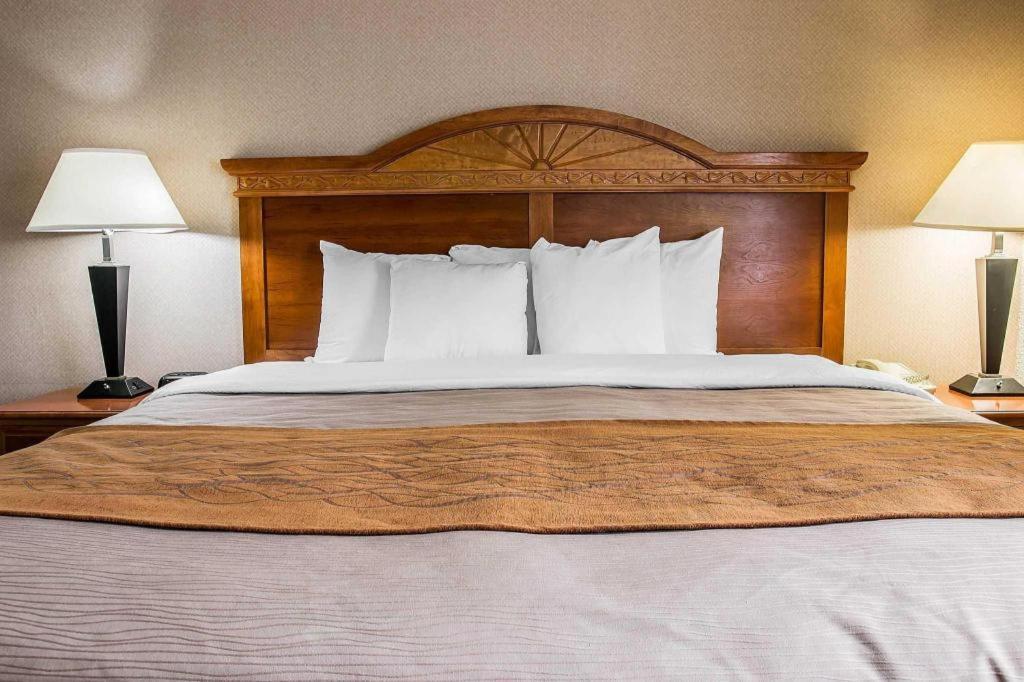 אן ארבור Comfort Inn & Suites University South מראה חיצוני תמונה