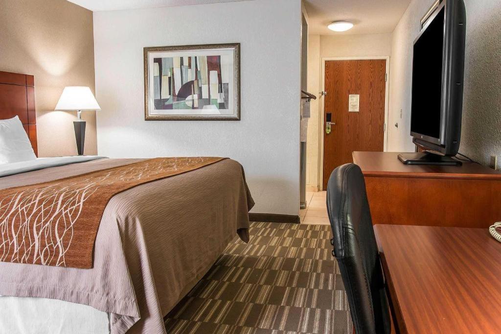 אן ארבור Comfort Inn & Suites University South מראה חיצוני תמונה