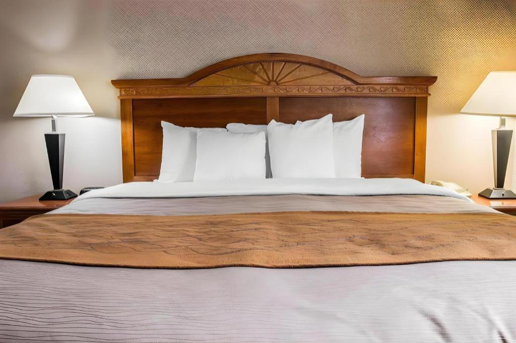 אן ארבור Comfort Inn & Suites University South מראה חיצוני תמונה