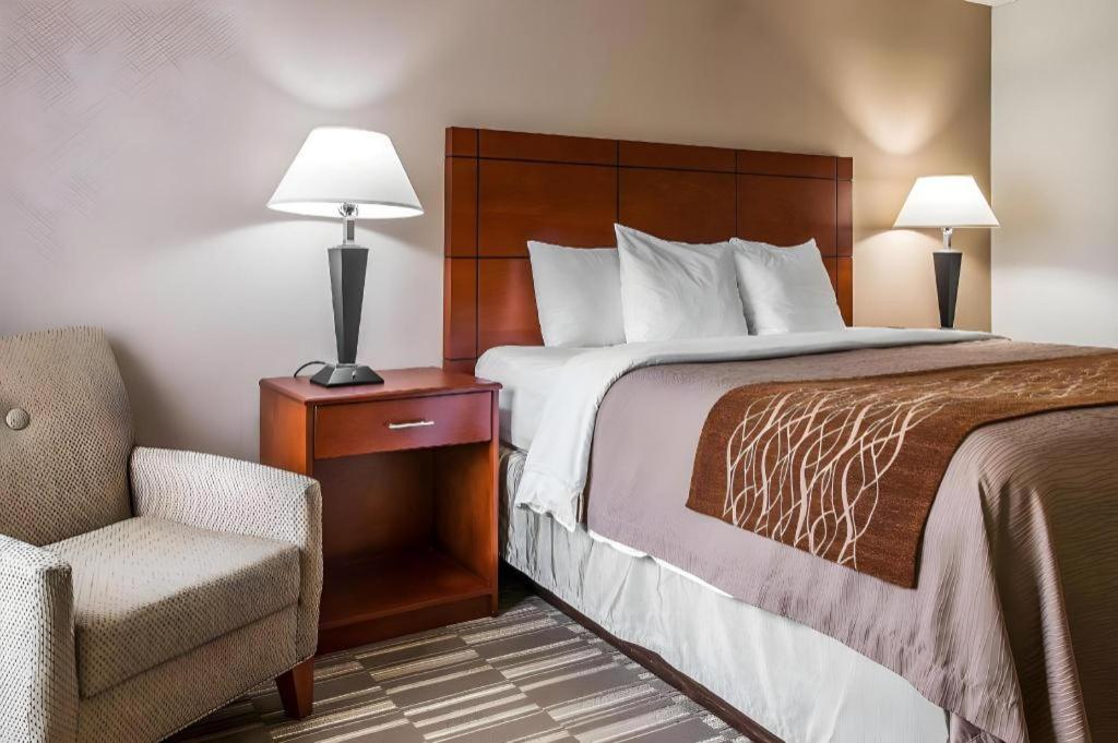 אן ארבור Comfort Inn & Suites University South מראה חיצוני תמונה