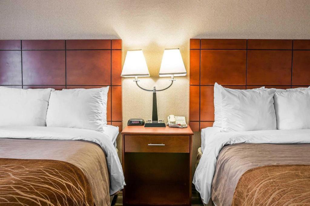 אן ארבור Comfort Inn & Suites University South מראה חיצוני תמונה