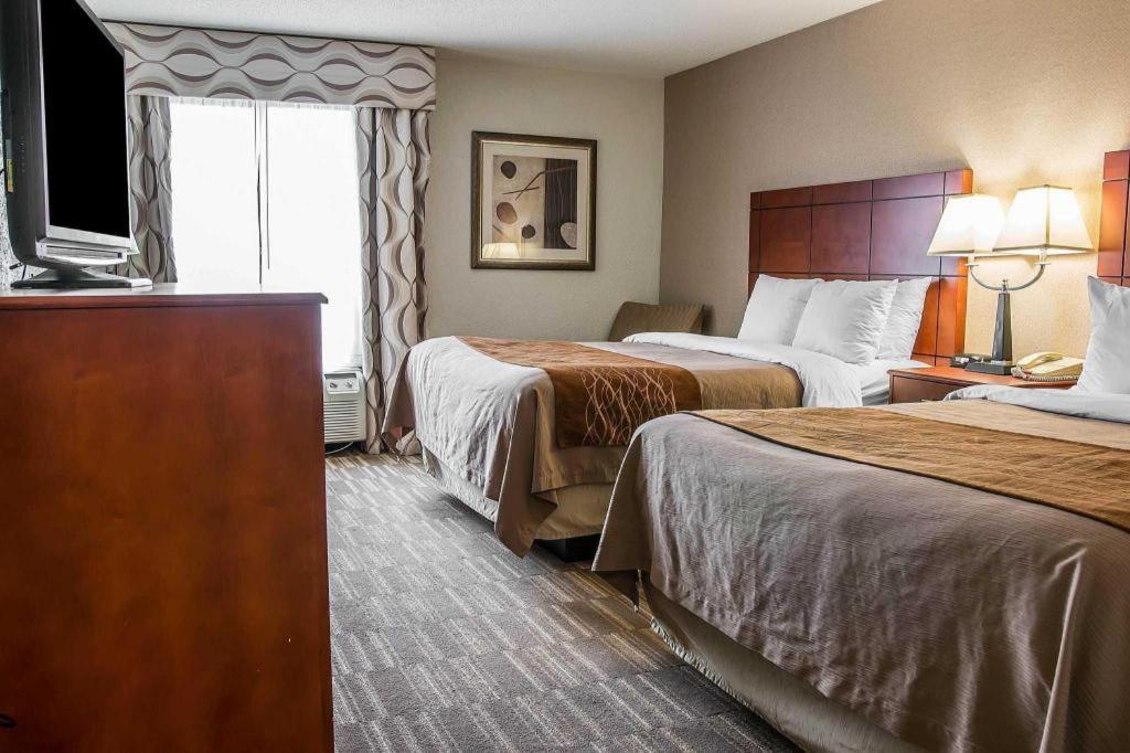 אן ארבור Comfort Inn & Suites University South מראה חיצוני תמונה