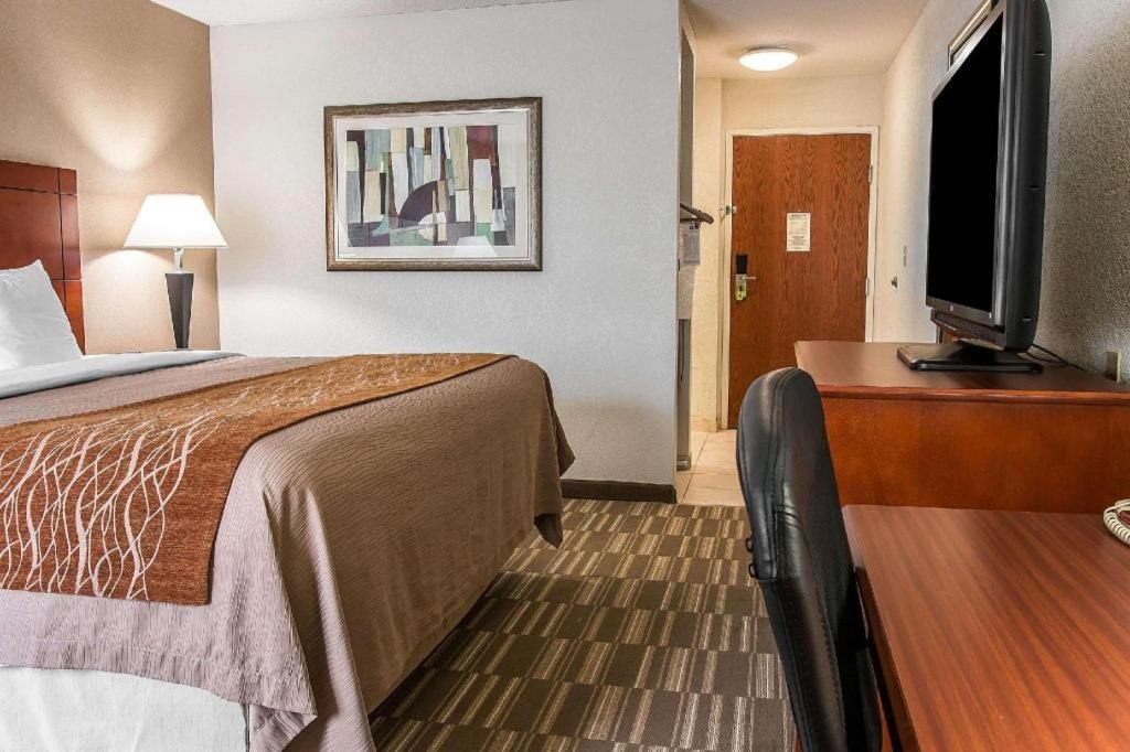 אן ארבור Comfort Inn & Suites University South מראה חיצוני תמונה