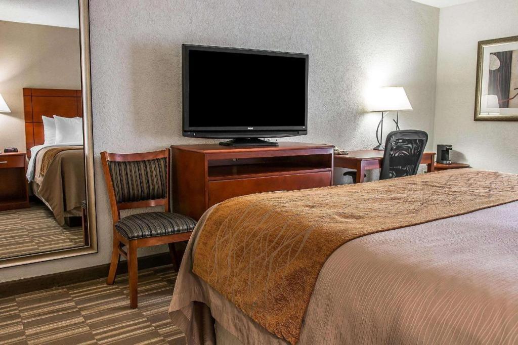 אן ארבור Comfort Inn & Suites University South מראה חיצוני תמונה
