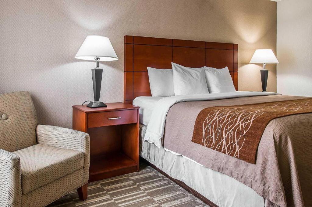 אן ארבור Comfort Inn & Suites University South מראה חיצוני תמונה