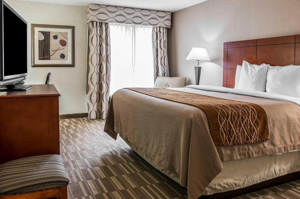 אן ארבור Comfort Inn & Suites University South מראה חיצוני תמונה