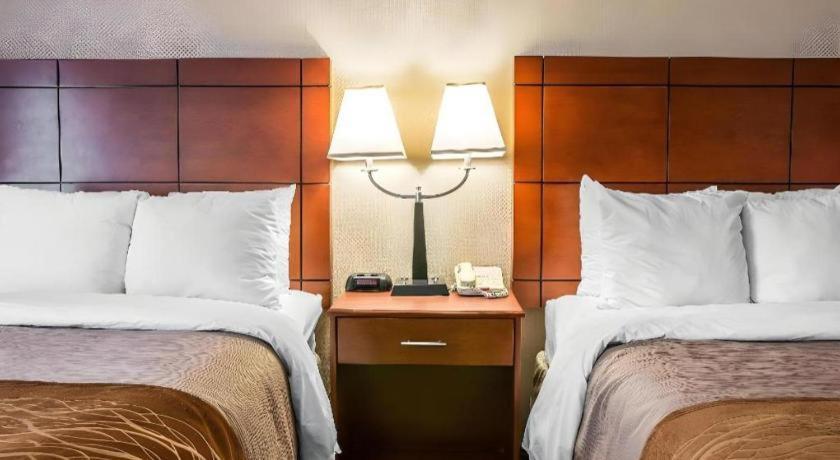 אן ארבור Comfort Inn & Suites University South מראה חיצוני תמונה