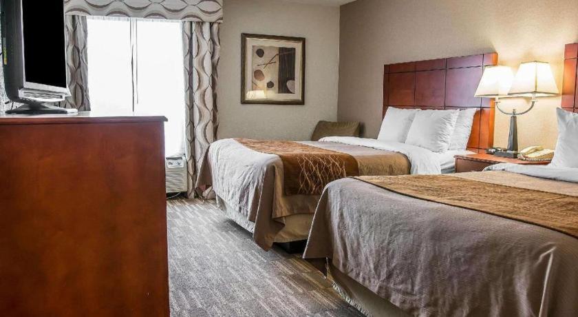 אן ארבור Comfort Inn & Suites University South מראה חיצוני תמונה