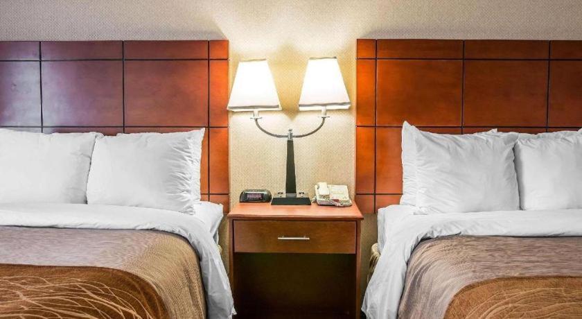 אן ארבור Comfort Inn & Suites University South מראה חיצוני תמונה