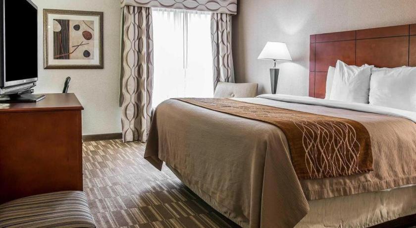 אן ארבור Comfort Inn & Suites University South מראה חיצוני תמונה