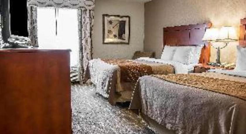 אן ארבור Comfort Inn & Suites University South מראה חיצוני תמונה