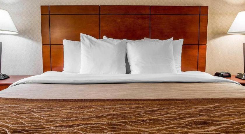 אן ארבור Comfort Inn & Suites University South מראה חיצוני תמונה