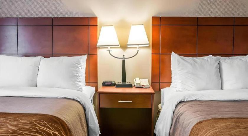 אן ארבור Comfort Inn & Suites University South מראה חיצוני תמונה