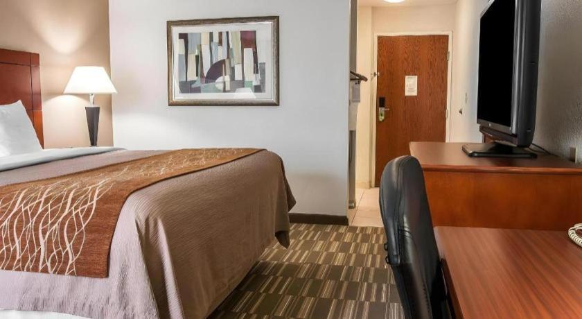 אן ארבור Comfort Inn & Suites University South מראה חיצוני תמונה